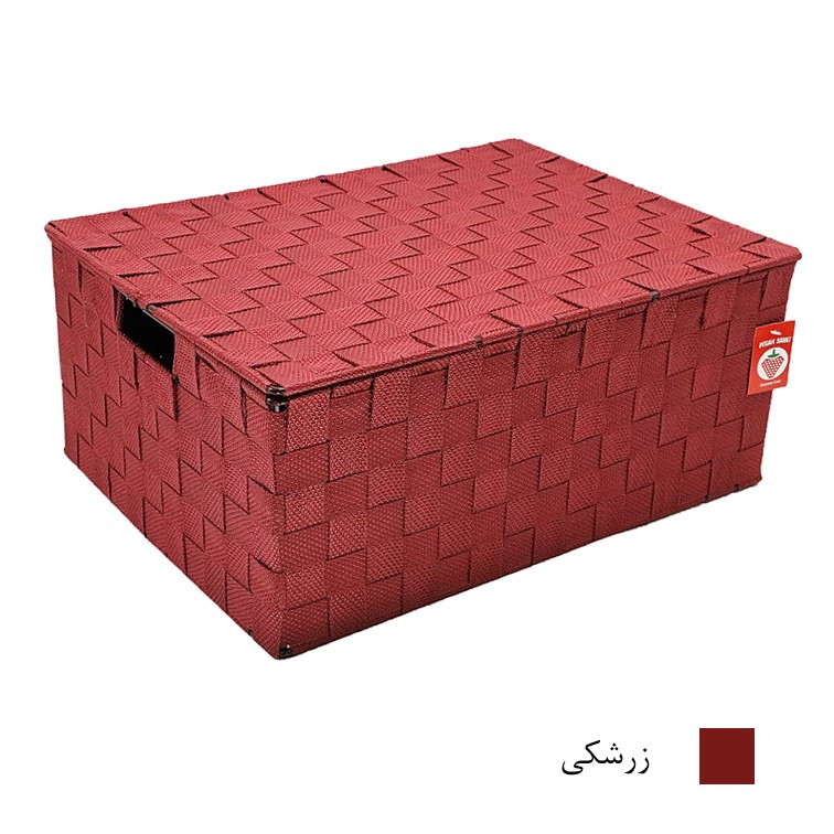 باکس نظم دهنده پگاه صنعت مدل B156