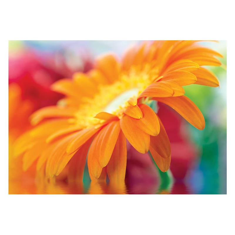 پوستر طرح گل کد 0011