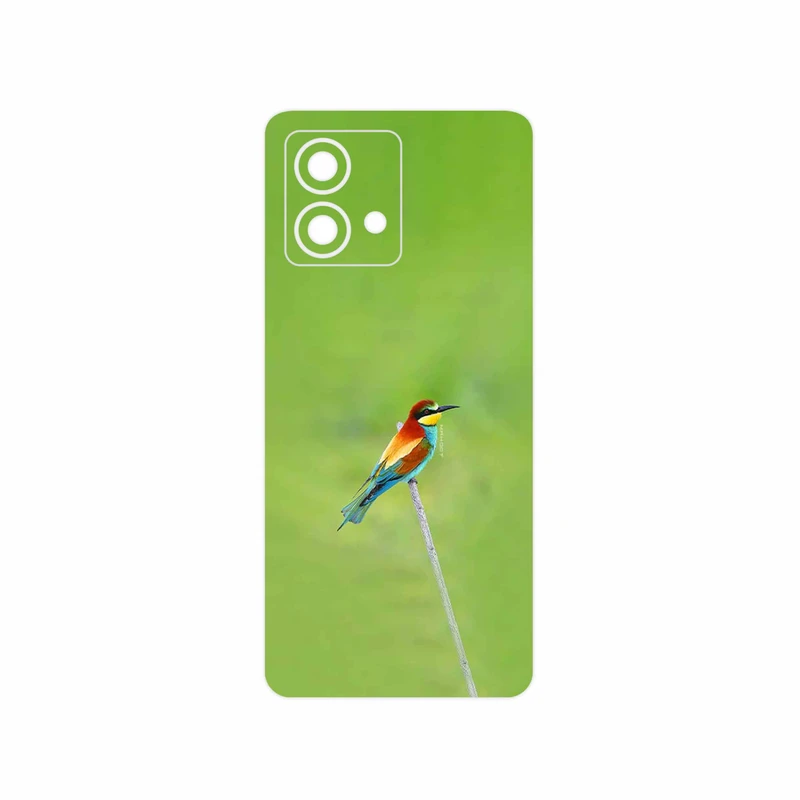 برچسب پوششی ماهوت مدل European bee-eater مناسب برای گوشی موبایل موتورولا Moto G84