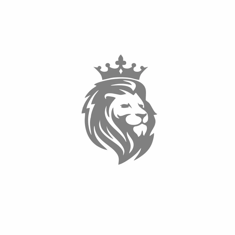 برچسب بدنه خودرو رادیانس طرح Lion کد B12