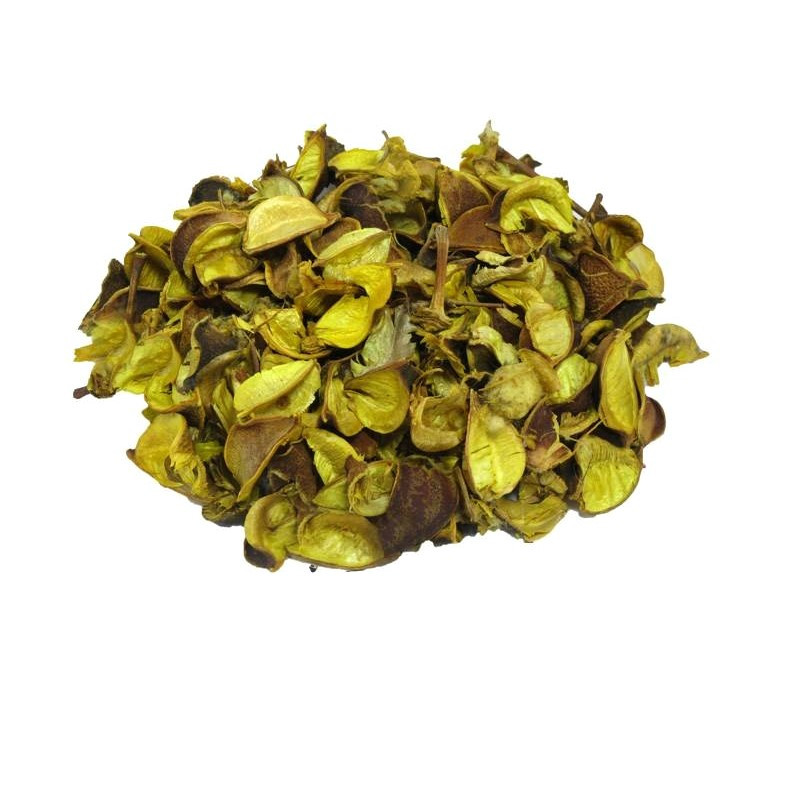 گل خشک مدل MOMA