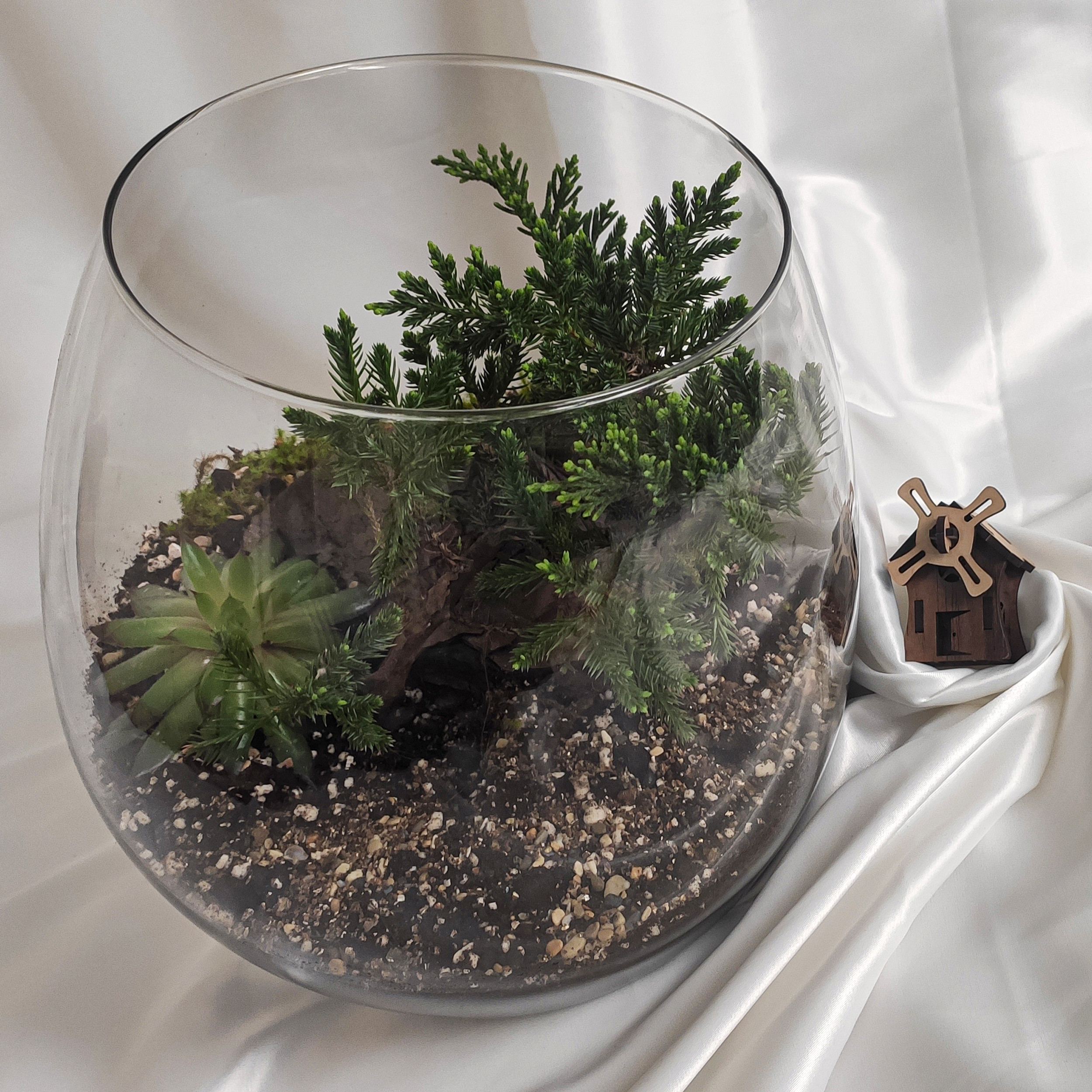 تراریوم گیاه طبیعی کد zhp-999