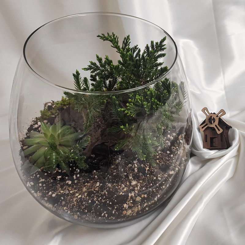 تراریوم گیاه طبیعی کد zhp-999 تراریوم گیاه طبیعی کد zhp-999