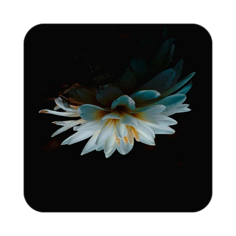 زیر لیوانی کاکتی طرح گل مدل mp16818