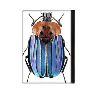 کلاسور مدل حشره کد 815