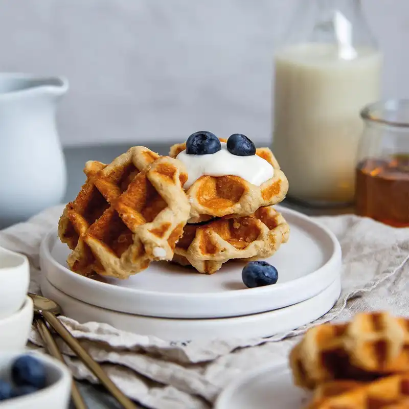 وافل ساز گاستروبک کد 42424