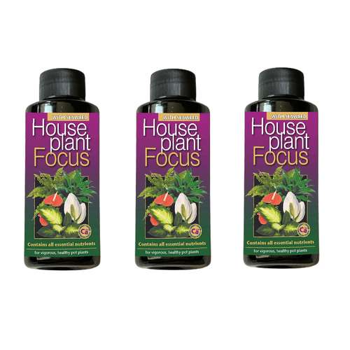 کود کامل گیاهان آپارتمانی فوکوس مدل WS حجم 100 میلی لیتر بسته 3 عددی