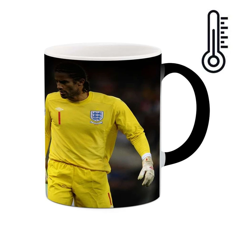 ماگ حرارتی کاکتی مدل David James کد mgh10490