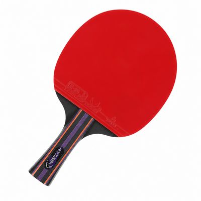 راکت پینگ پنگ لوکی مدل R302