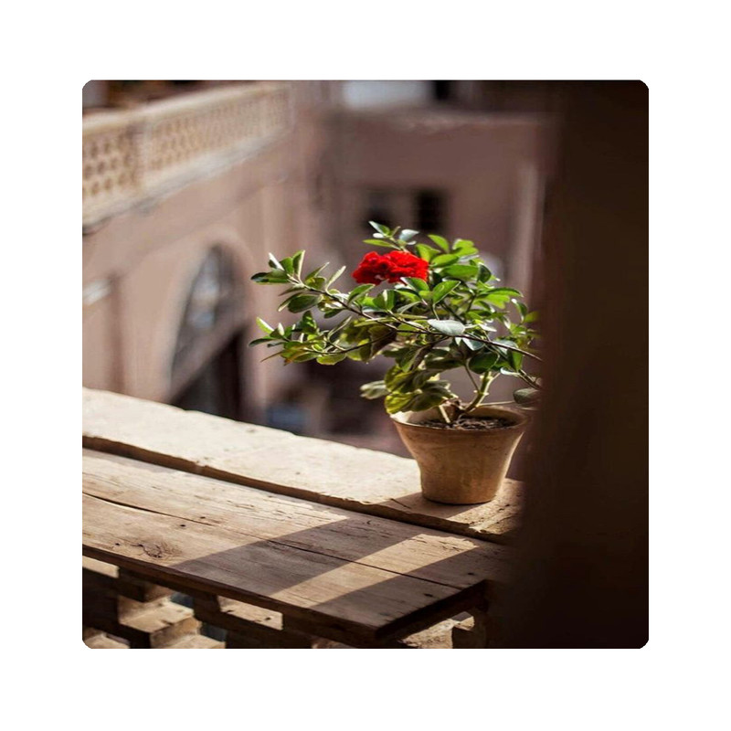 کاشی طرح گلدان مدل k189