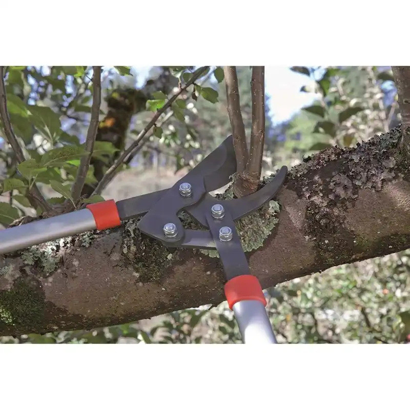 قیچی شاخه زن آلتونا مدل J444