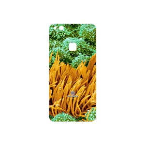 MAHOOT Atom Universe 6 Cover Sticker for Huawei P10 Lite