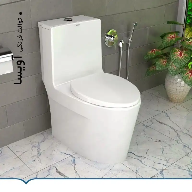 توالت فرنگی دو زمانه چینی کرد
مدل چ ک آویسا