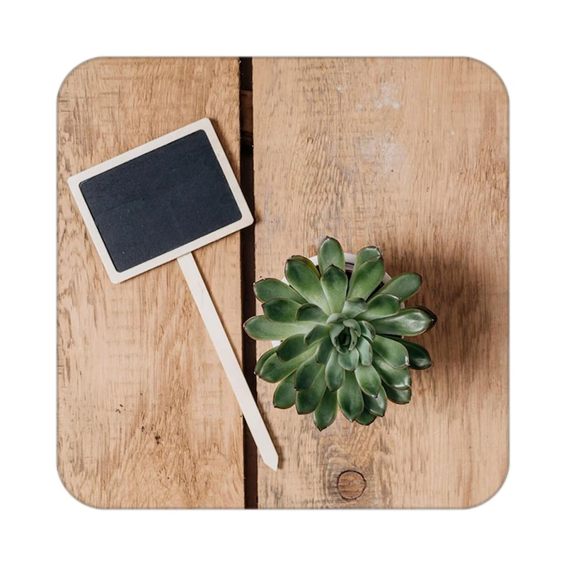 زیر لیوانی کاکتی طرح گل مدل mp17011