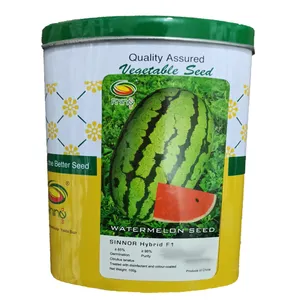 بذر هندوانه مدل سینور f1 وزن 100گرم