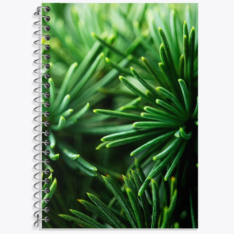 دفتر زبان 50 برگ خندالو مدل دو خط طرح کاج کد F1434