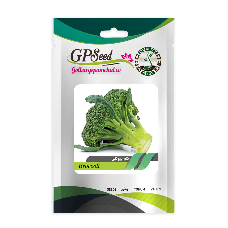 بذر کلم بروکلی گلبرگ پامچال کد GPF-164