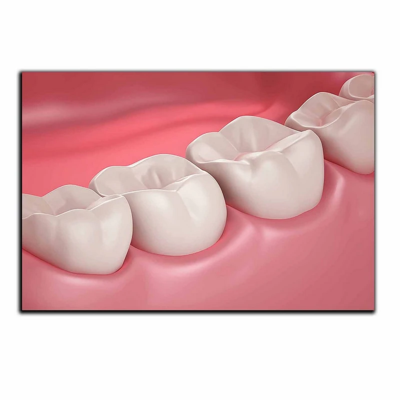 تابلو شاسی بکلیت طرح دندانپزشکی و دندان مدل SH-2035