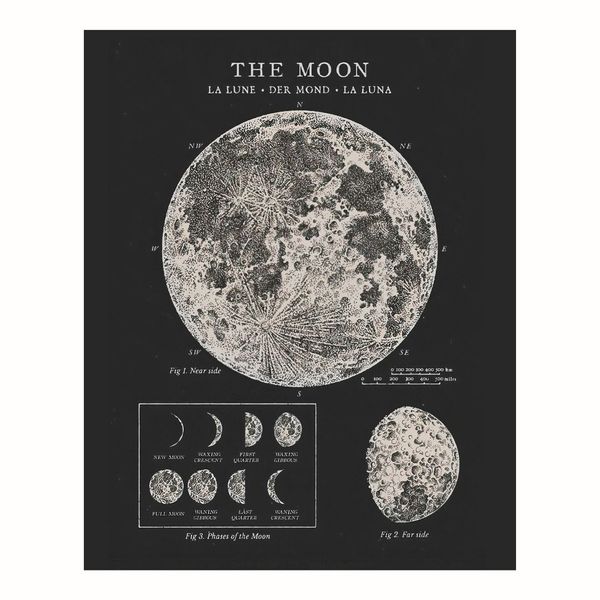 پوستر مدل  فازهای ماه  