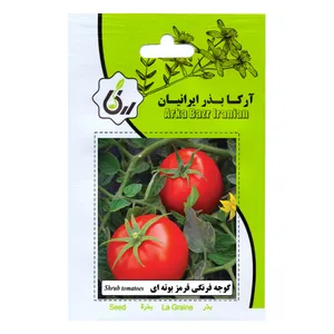 بذر گوجه فرنگی قرمز بوته ای آرکا بذر ایرانیان مدل B144