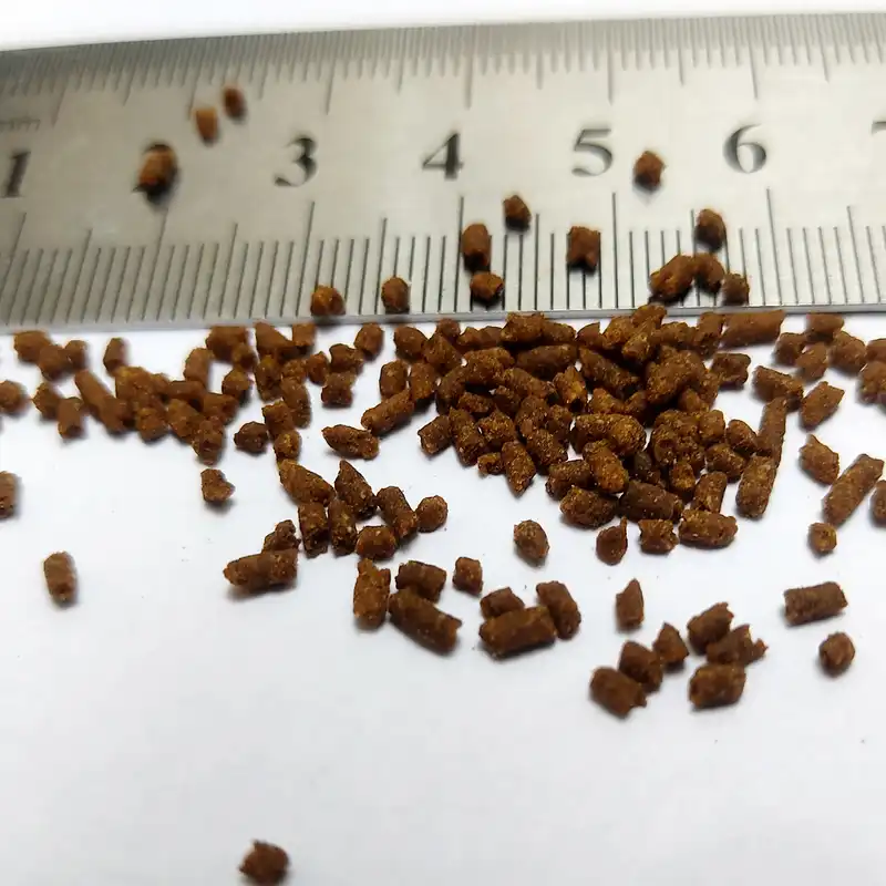 غذای ماهی گوشتخوار مدل پروتیین بالا  وزن 450 گرم