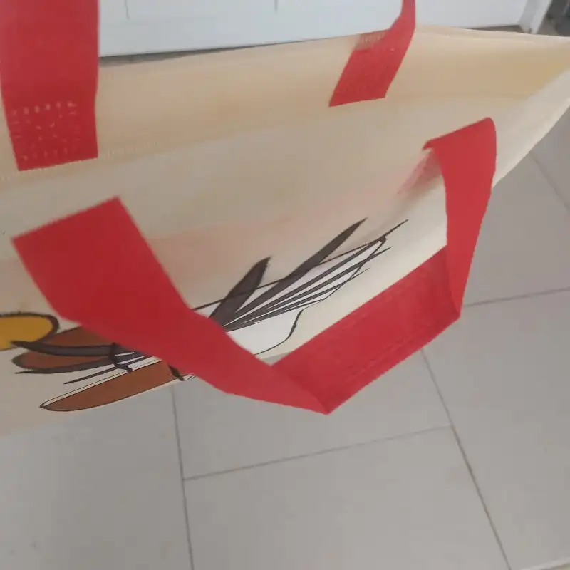 ساک هدیه مدل مینیمال کد 54