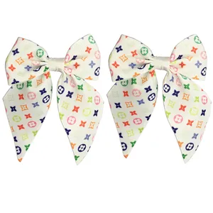 گیره مو دخترانه مدل BN04 بسته دو عددی