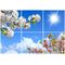 تایل سقفی آسمان مجازی طرح آسمان خورشید ابر و گلها کد ST 2414-6 سایز 60x60 سانتی متر مجموعه 6 عددی
