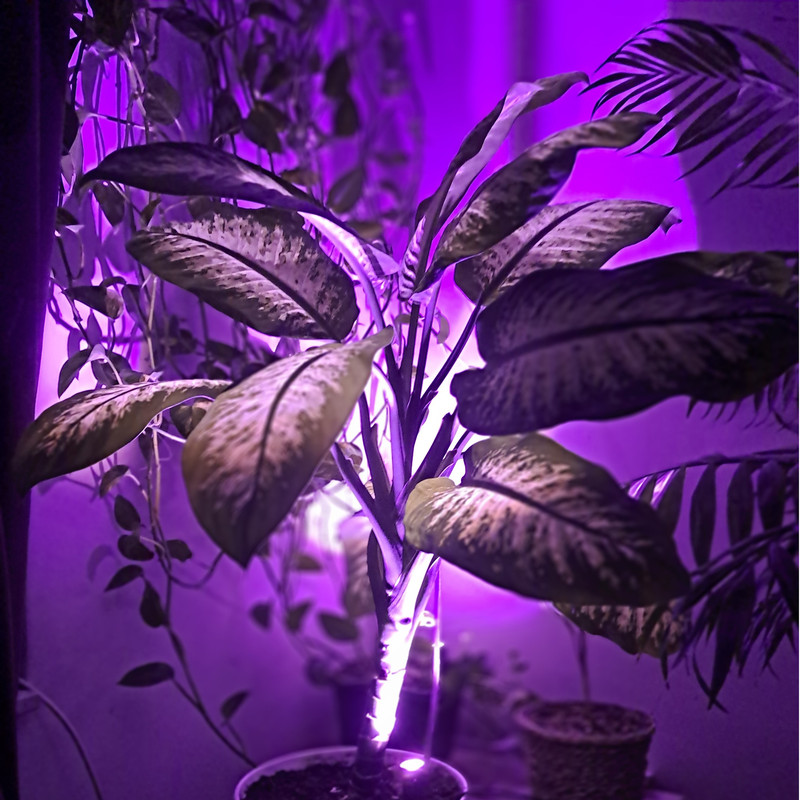 لامپ رشد گیاه 15 وات لایت ویژن مدل hp1-5w بسته سه عددی