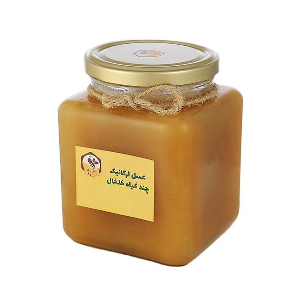 عسل چند گیاه خام پلنگا - 1 کیلوگرم