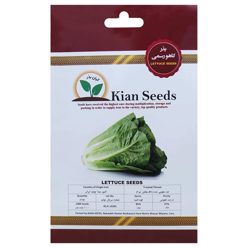 بذر کاهو رسمی کیان بذر کد KBZ-17