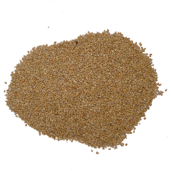 غذای پرندگان مدل ارزن وزن 1 کیلوگرم