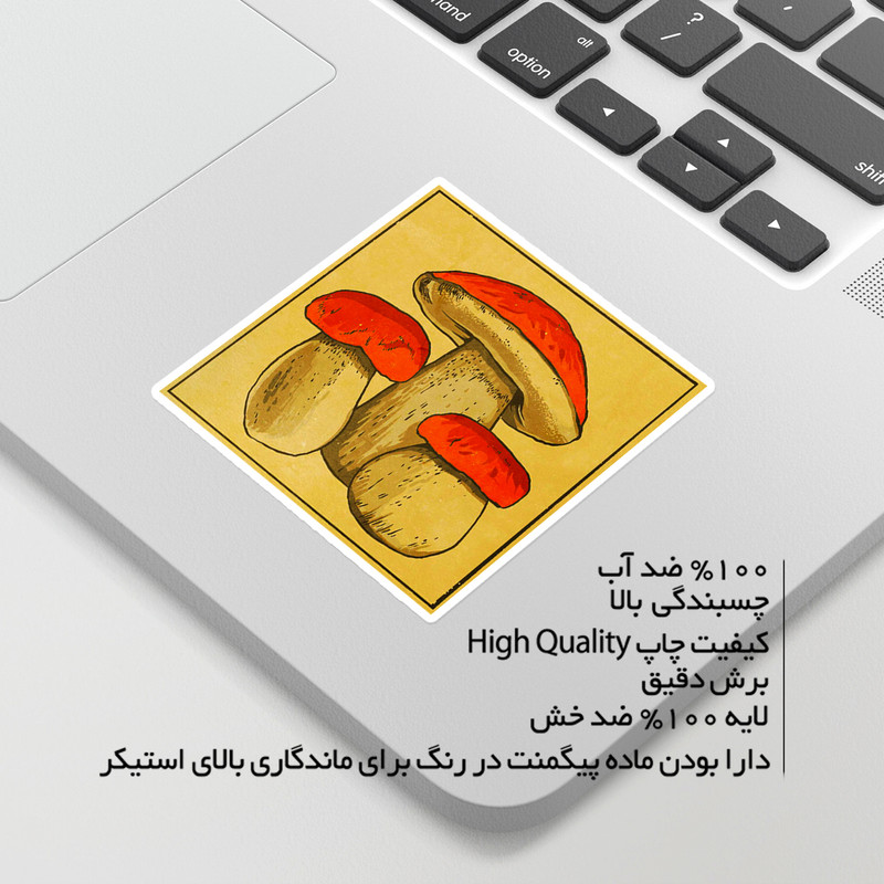 استیکر لپ تاپ ماسا دیزاین طرح قارچ مدل venus555