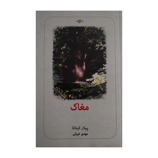 کتاب مغاک اثر پیلار کینتانا ترجمه مهدی غبرائی انتشارات کتاب دیدآور