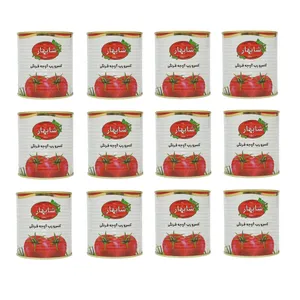 رب گوجه فرنگی شابهار - 800 گرم بسته 12 عددی