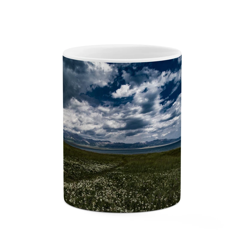 ماگ کاکتی طرح ابری کد mgp10456