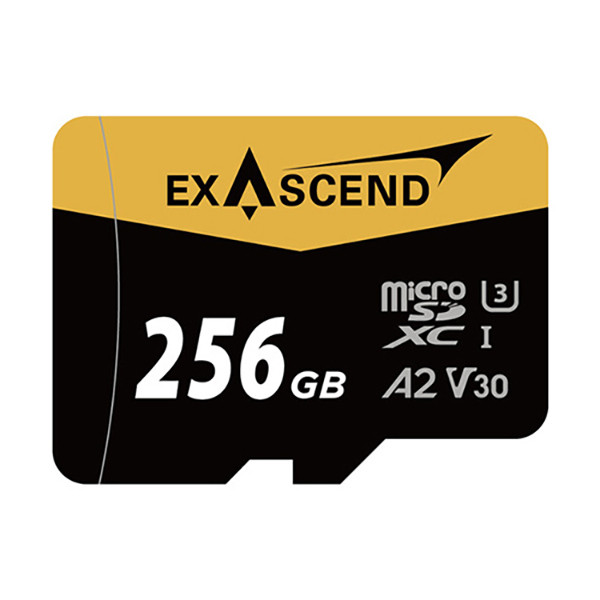 کارت حافظه microSD اکساسند مدل Catalyst کلاس 10 استاندارد UHS-I U3 سرعت 175MBps ظرفیت 256 گیگابایت