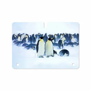 MAHOOT Penguin Cover Sticker for Samsung Galaxy Tab S 10.5 2014 T805