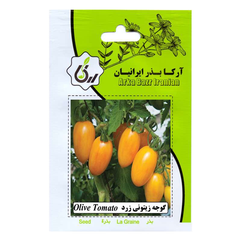 بذر گوجه زیتونی زرد آرکا بذر ایرانیان مدل A