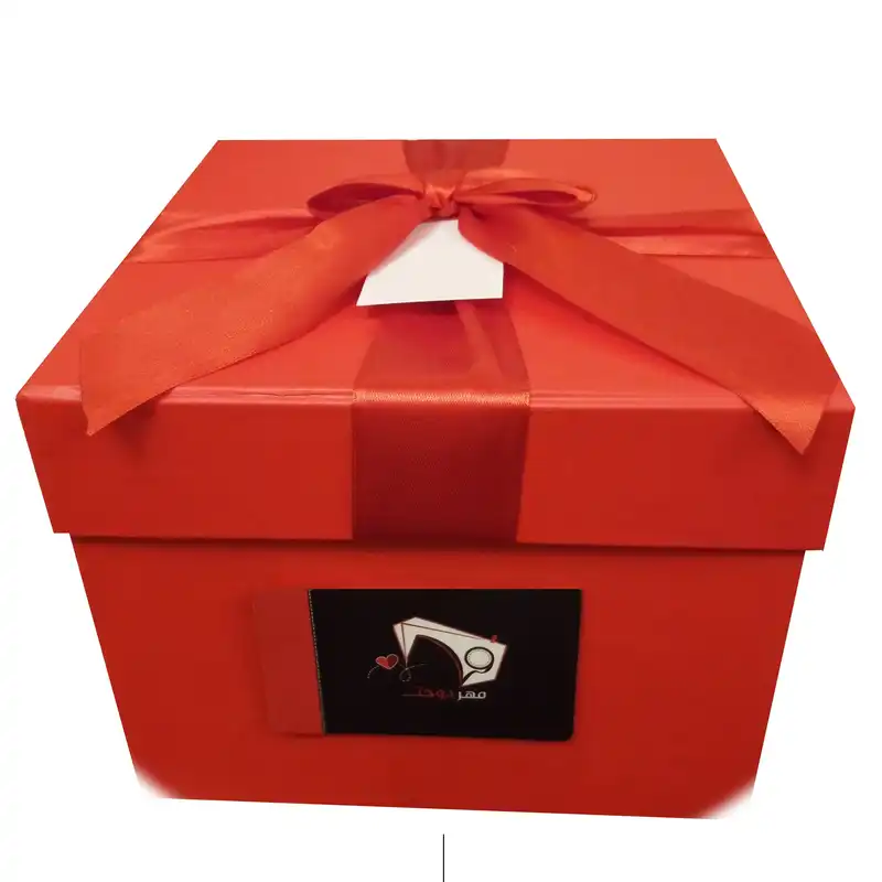 چرخ خیاطی ژانومه مدل 802A