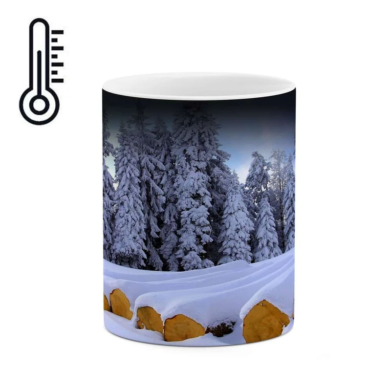 ماگ حرارتی کاکتی مدل منظره برفی کد mgh10771