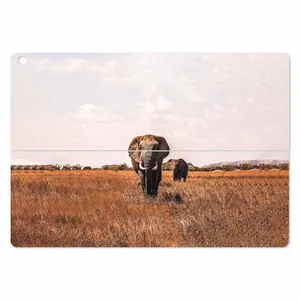 MAHOOT Elephant Cover Sticker for ASUS Transformer 3 Pro 2016
