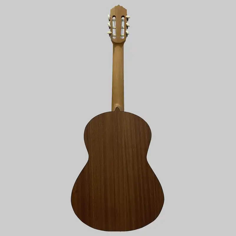 گیتار مدل C70