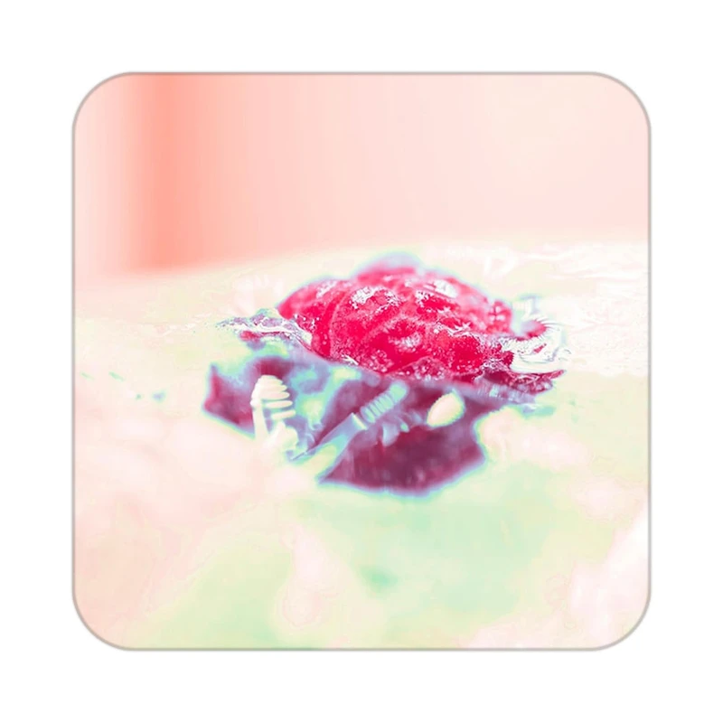 زیر لیوانی کاکتی طرح میوه مدل mp20951