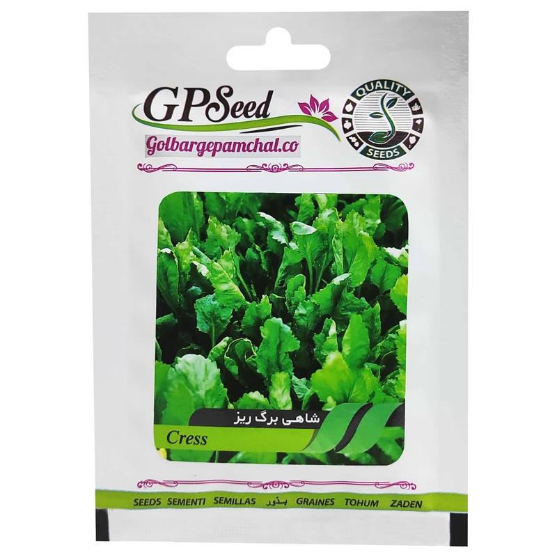 بذر شاهی برگ ریز گلبرگ پامچال کد GPF-153