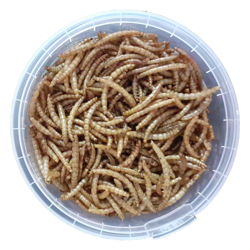 غذای تشویقی همستر ولکانو میلورم کد MWH60 وزن 60 گرم