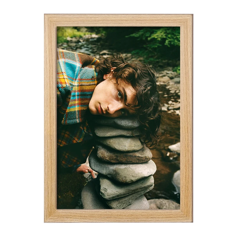 تابلو خندالو مدل تیموتی شالامی Timothée Chalamet  کد 19290