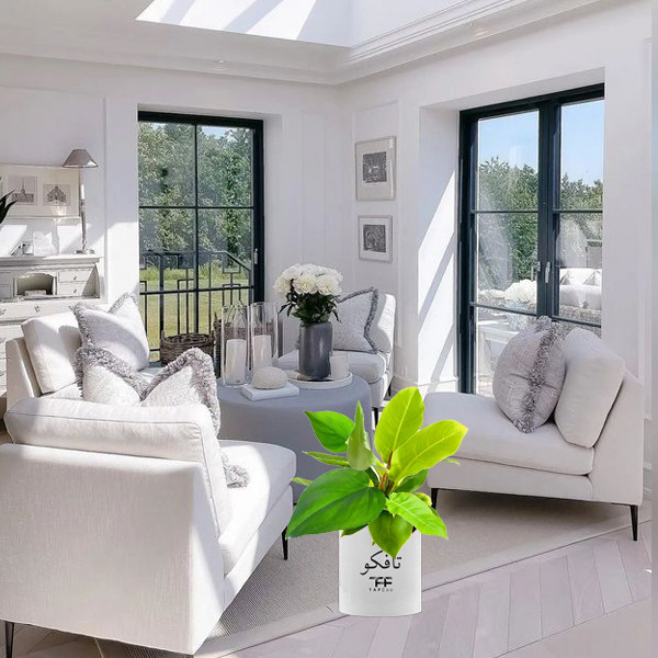 گل طبیعی فیلودندرون تافکو مدل سبز کد 2x گل طبیعی فیلودندرون تافکو مدل سبز کد 2x