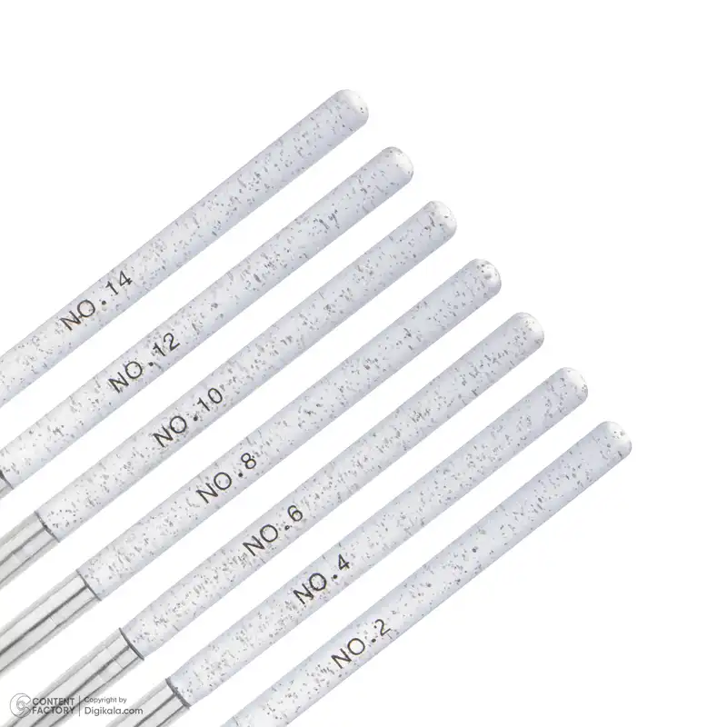 قلم موی کاشت ناخن مدل D1 مجموعه 7 عددی