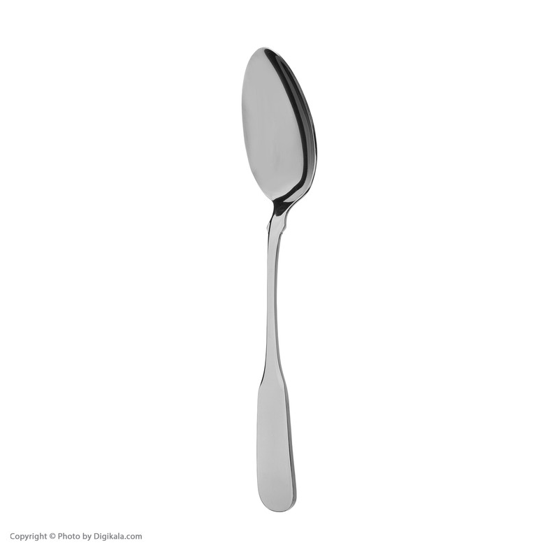 قاشق و چنگال غذاخوری صنایع استیل ایران مدل برشیا کد 5